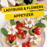 Close up image of ladybugs made from tomatoes and cheese flowers on a pink plate